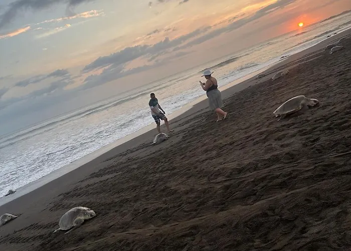 Casa Hébergement de vacances *